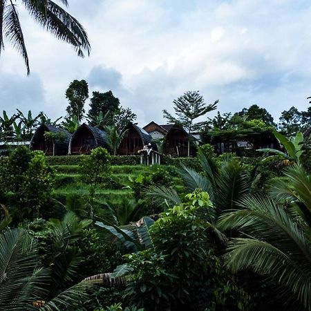 Hotel Omah Bapak Ijen Eco House Licin Exteriér fotografie