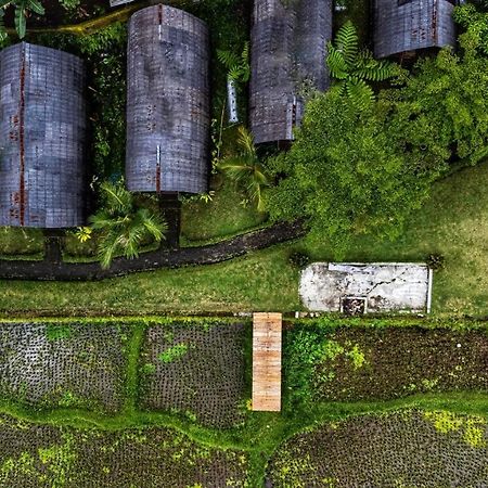 Hotel Omah Bapak Ijen Eco House Licin Exteriér fotografie