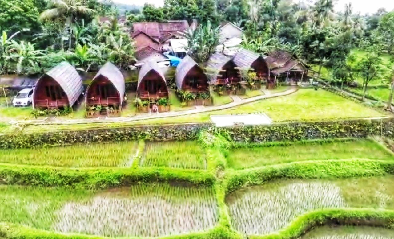 Hotel Omah Bapak Ijen Eco House Licin Exteriér fotografie