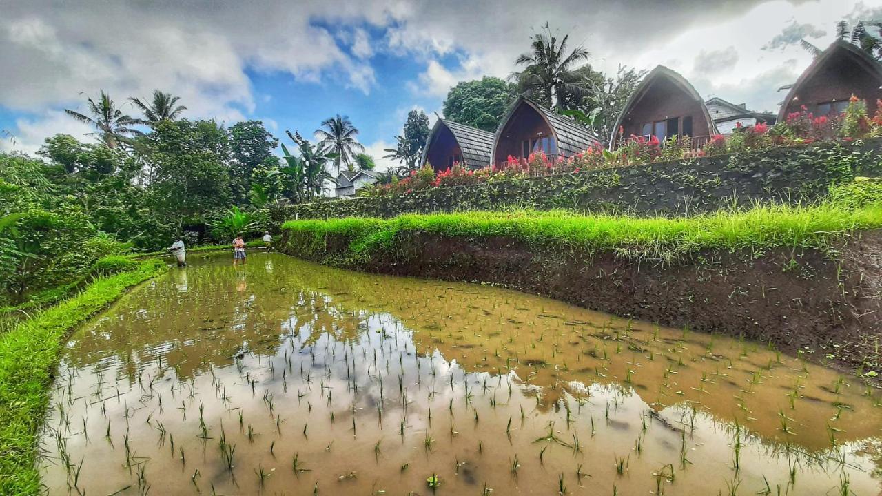 Hotel Omah Bapak Ijen Eco House Licin Exteriér fotografie