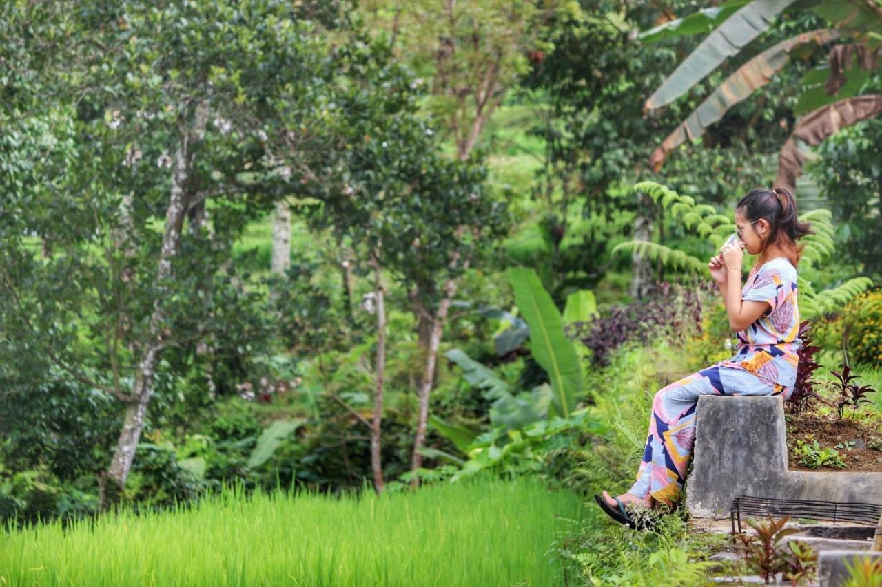 Hotel Omah Bapak Ijen Eco House Licin Exteriér fotografie