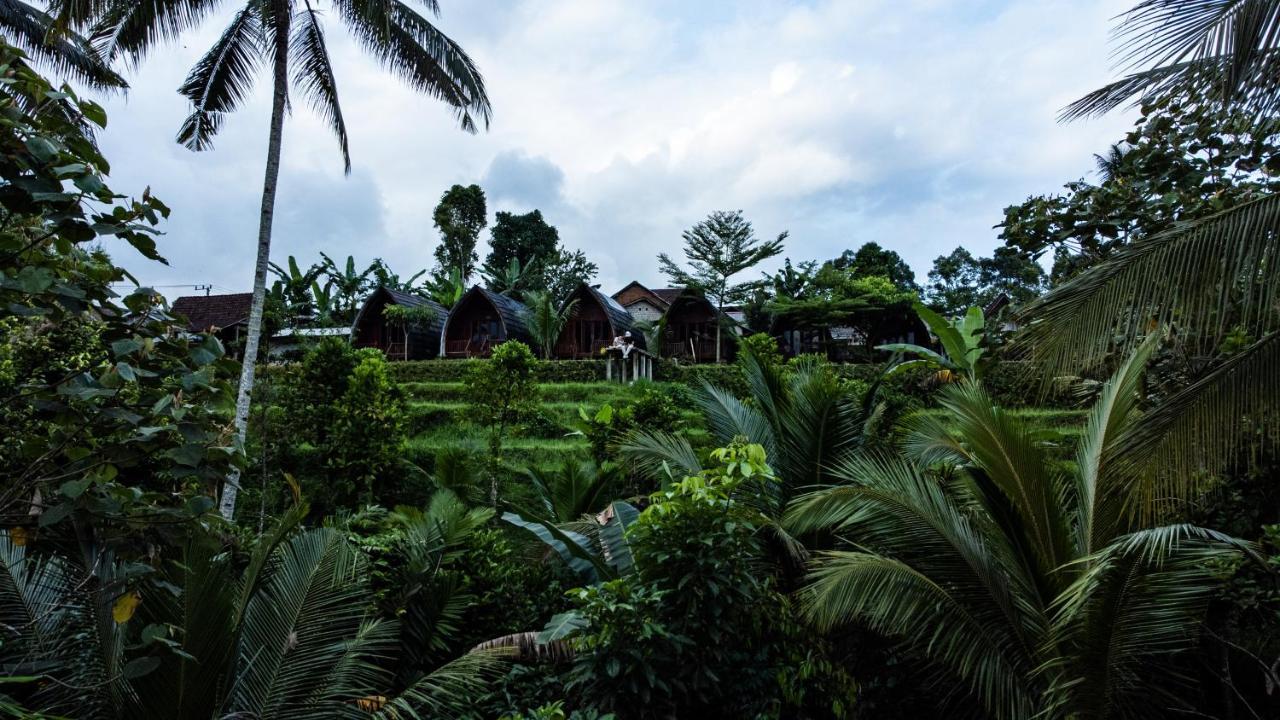 Hotel Omah Bapak Ijen Eco House Licin Exteriér fotografie