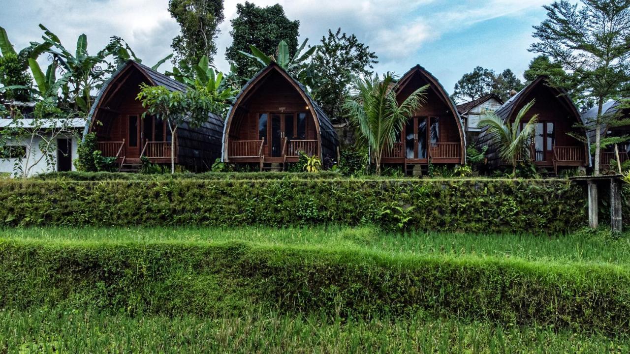 Hotel Omah Bapak Ijen Eco House Licin Exteriér fotografie